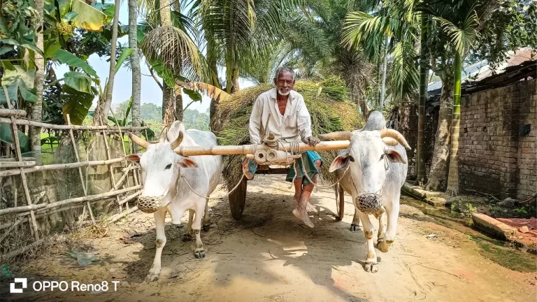 স্মার্টফোনের লেন্সে বাংলাদেশের সৌন্দর্য ও বৈচিত্র্য